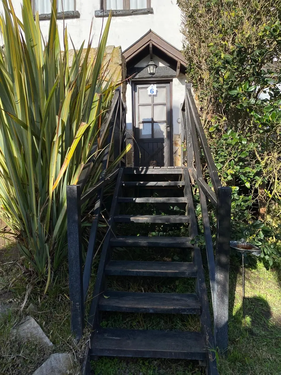 Escalera de madera entre la vegetación hacia una cabaña de Puerto Delfín en Mar de las Pampas