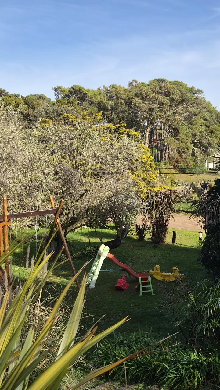 Parque con juegos infantiles, tobogán y hamaca bajo el bosque en las cabañas Puerto Delfín, Mar de las Pampas
