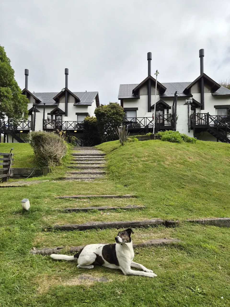Cabañas Puerto Delfín en Mar de las Pampas, con una mascota en el parque frente a los escalones